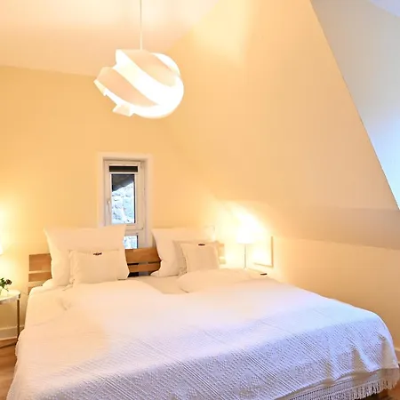 Apartment Tuermerstube - In Der Hinterburg - Mit Aufzug, Parkplatz, E-ladestation & Garten - Hunde Willkommen Schlitz