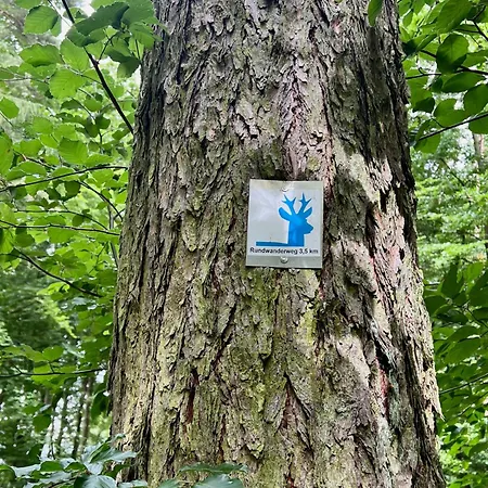 Apartment Tuermerstube - In Der Hinterburg - Mit Aufzug, Parkplatz, E-ladestation & Garten - Hunde Willkommen Schlitz