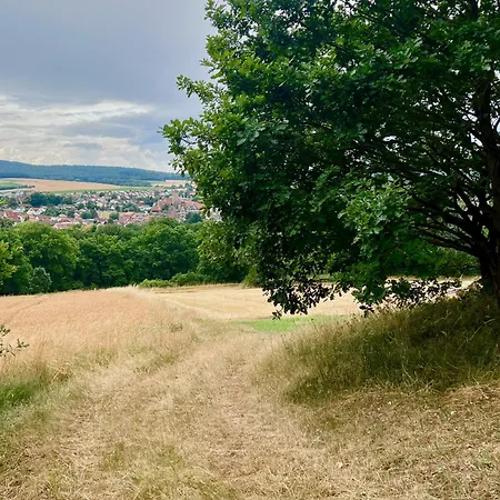 Apartment Tuermerstube - In Der Hinterburg - Mit Aufzug, Parkplatz, E-ladestation & Garten - Hunde Willkommen