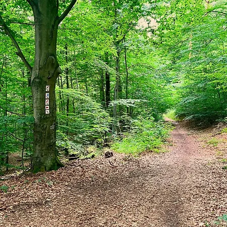 Tuermerstube - In Der Hinterburg - Mit Aufzug, Parkplatz, E-ladestation & Garten - Hunde Willkommen Apartment *