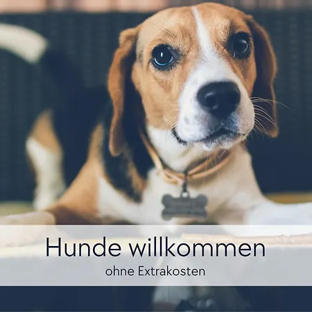 Tuermerstube - In Der Hinterburg - Mit Aufzug, Parkplatz, E-ladestation & Garten - Hunde Willkommen Apartment *