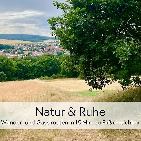 Tuermerstube - In Der Hinterburg - Mit Aufzug, Parkplatz, E-ladestation & Garten - Hunde Willkommen * Schlitz