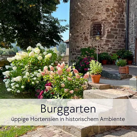 Apartment Tuermerstube - In Der Hinterburg - Mit Aufzug, Parkplatz, E-ladestation & Garten - Hunde Willkommen *
