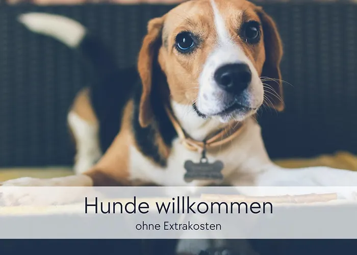 Tuermerstube - In Der Hinterburg - Mit Aufzug, Parkplatz, E-ladestation & Garten - Hunde Willkommen Apartman *
