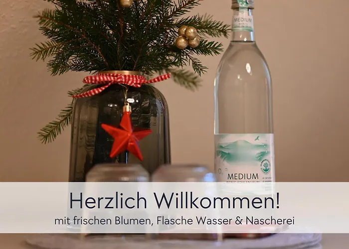 Apartman Tuermerstube - In Der Hinterburg - Mit Aufzug, Parkplatz, E-ladestation & Garten - Hunde Willkommen *