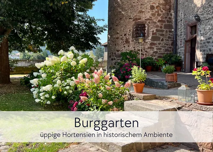 Apartman Tuermerstube - In Der Hinterburg - Mit Aufzug, Parkplatz, E-ladestation & Garten - Hunde Willkommen *